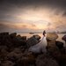 Orange Photos - Studio fotografie si videografie Constanta